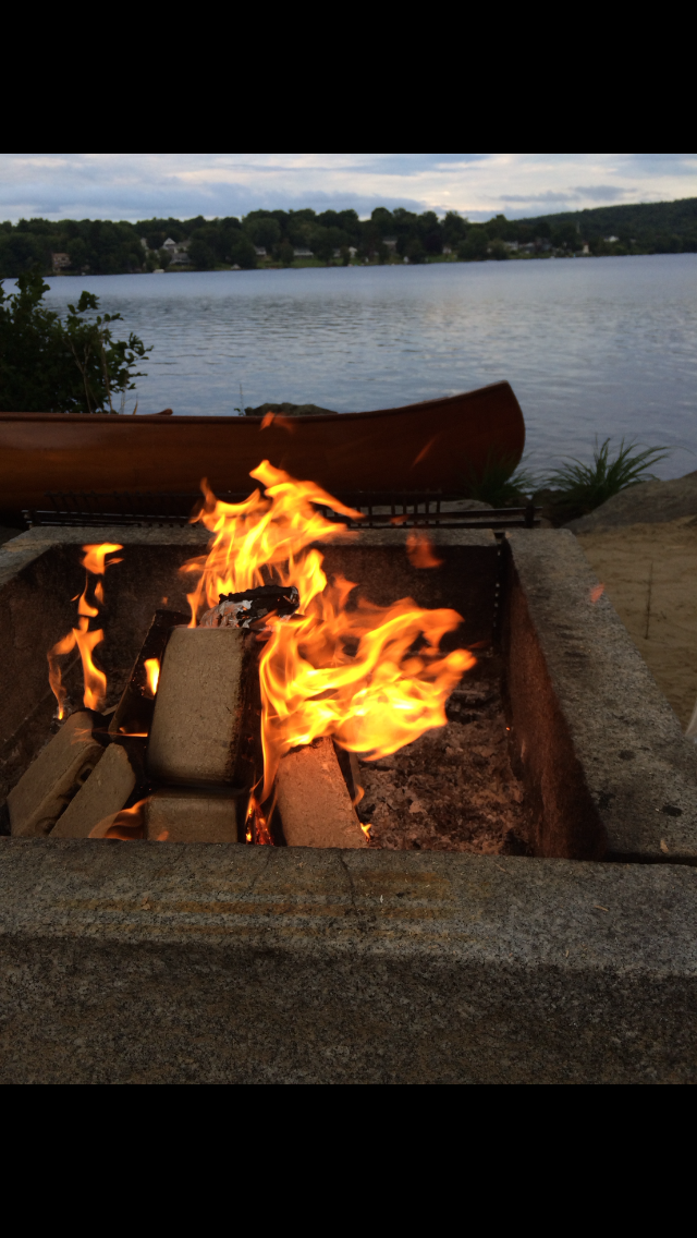 PK BIOBRICK 40# (50 PK/TON)