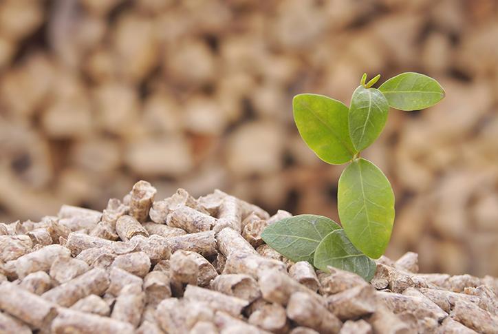 BAG 40LB LIGNETICS PREMIUM PLUS