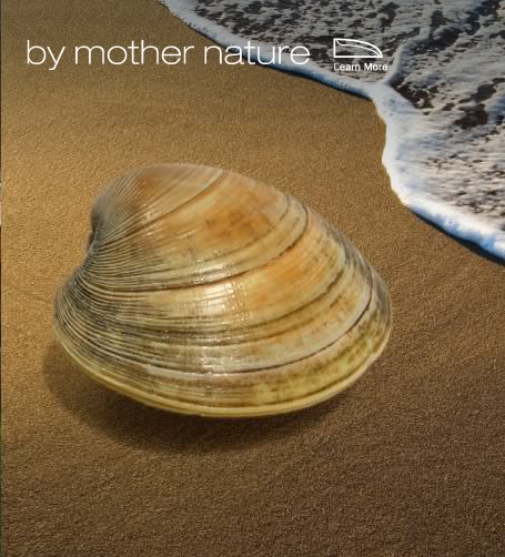 CLAMDOOR LARGE 55\"W X 72\"L DOVE