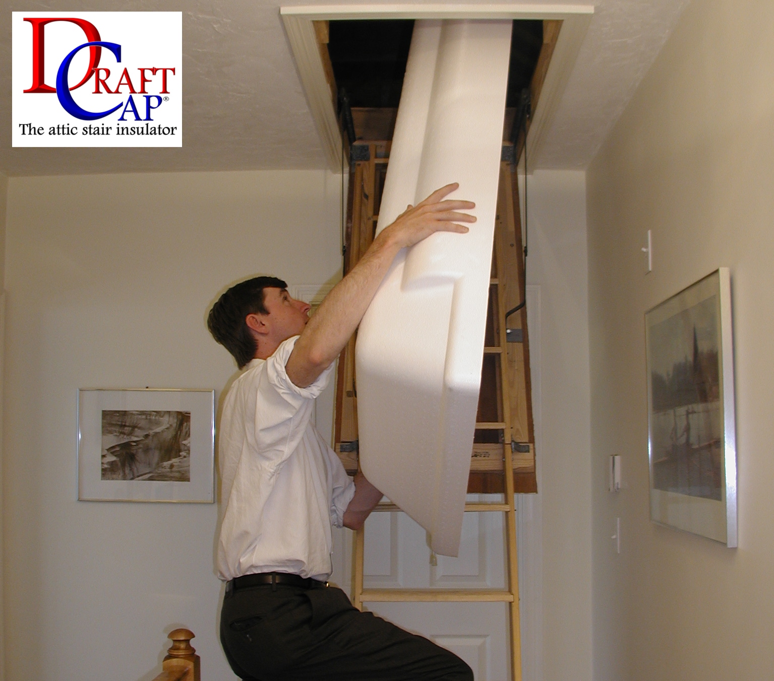 ATTIC STAIR INSULATED DOME CAP