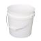 2 GALLON BUCKET HOWE