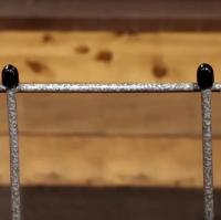 *WILD HOG TUSK CLEAR 50PC/BAG